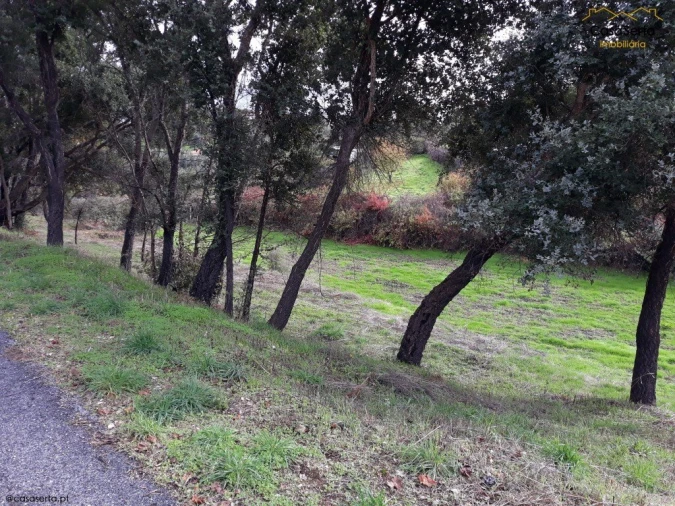 Terreno para Venda em Castelo Foto 2