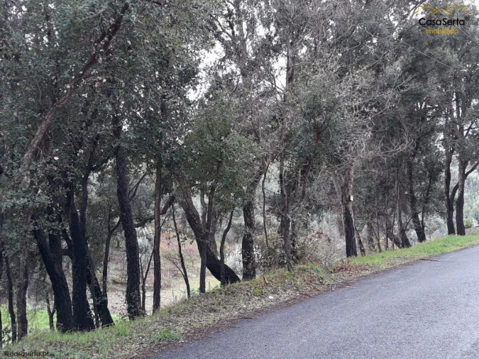 Terreno para Venda em Castelo Foto 4