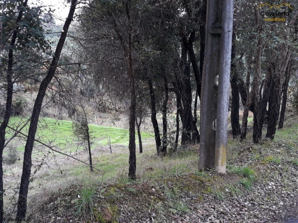 Terreno para Venda em Castelo Foto 5