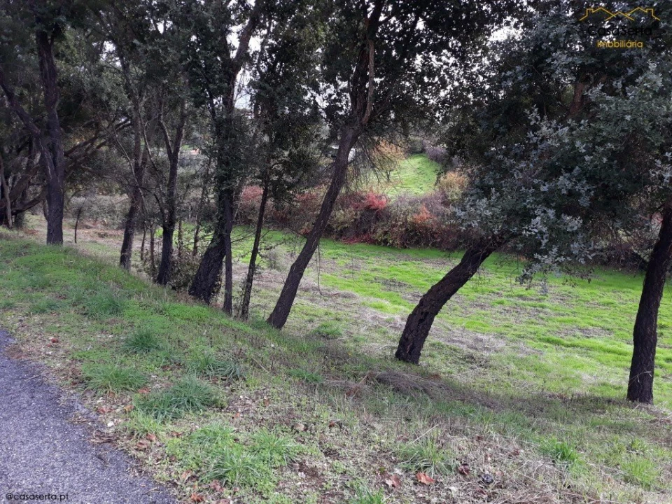 Terreno para Venda em Castelo Foto 2