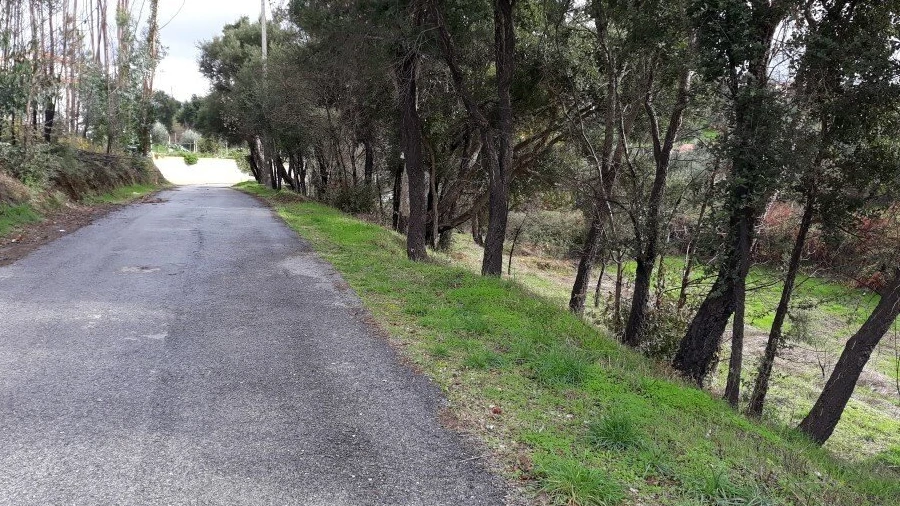 Terreno para Venda em Castelo