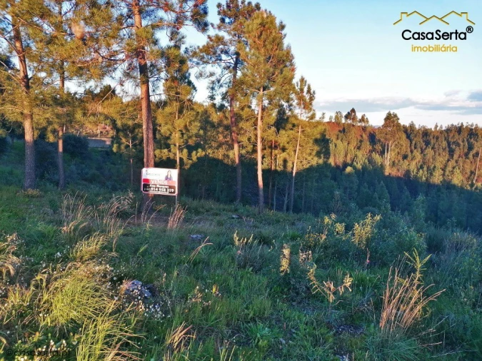 Terreno para Venda em Sobreira Formosa e Alvito da Beira Foto 1