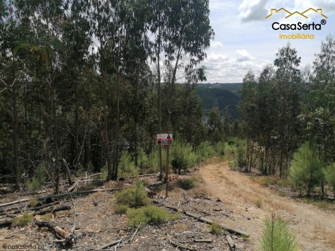 Terreno para Venda em Graça Foto 2