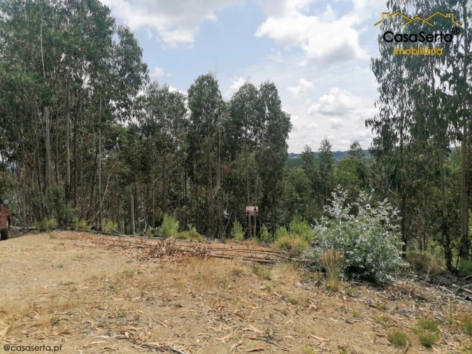 Terreno para Venda em Graça Foto 4