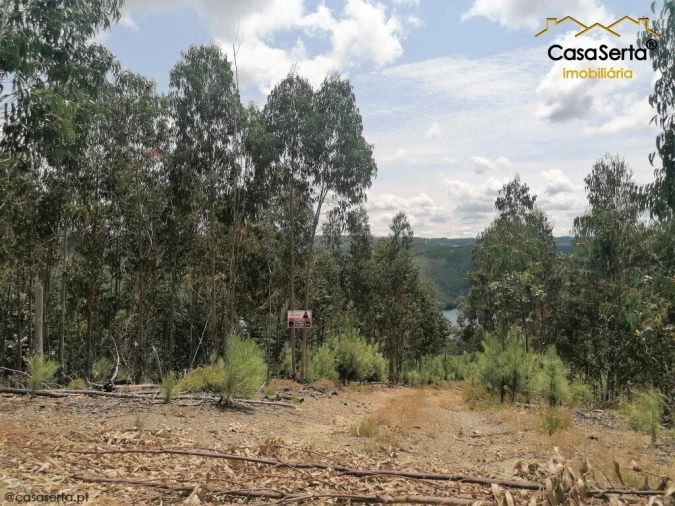 Terreno para Venda em Graça Foto 5