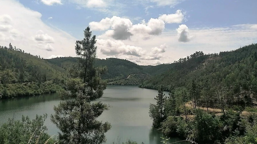 Terreno para Venda em Graça