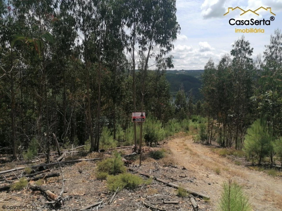 Terreno para Venda em Graça Foto 2
