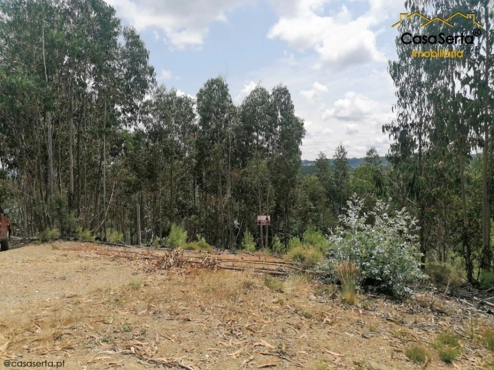 Terreno para Venda em Graça Foto 4