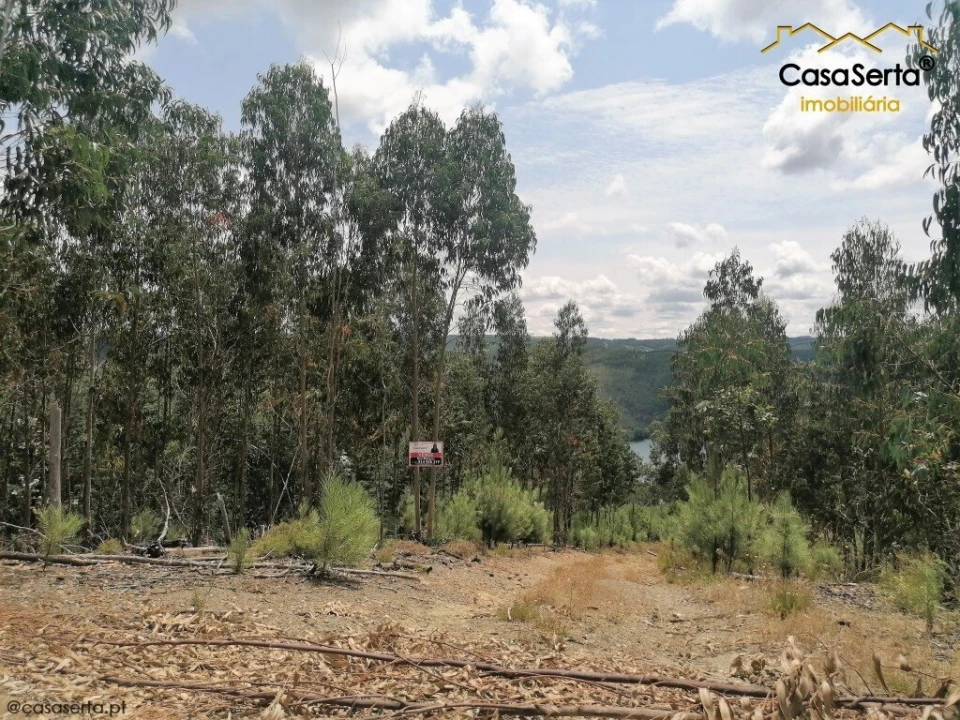 Terreno para Venda em Graça Foto 5