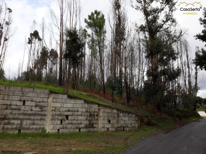 Terreno para Venda em Castelo Foto 4