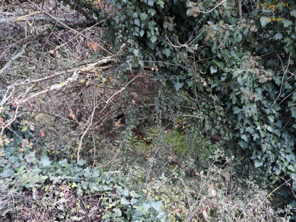 Terreno para Venda em Castelo Foto 3