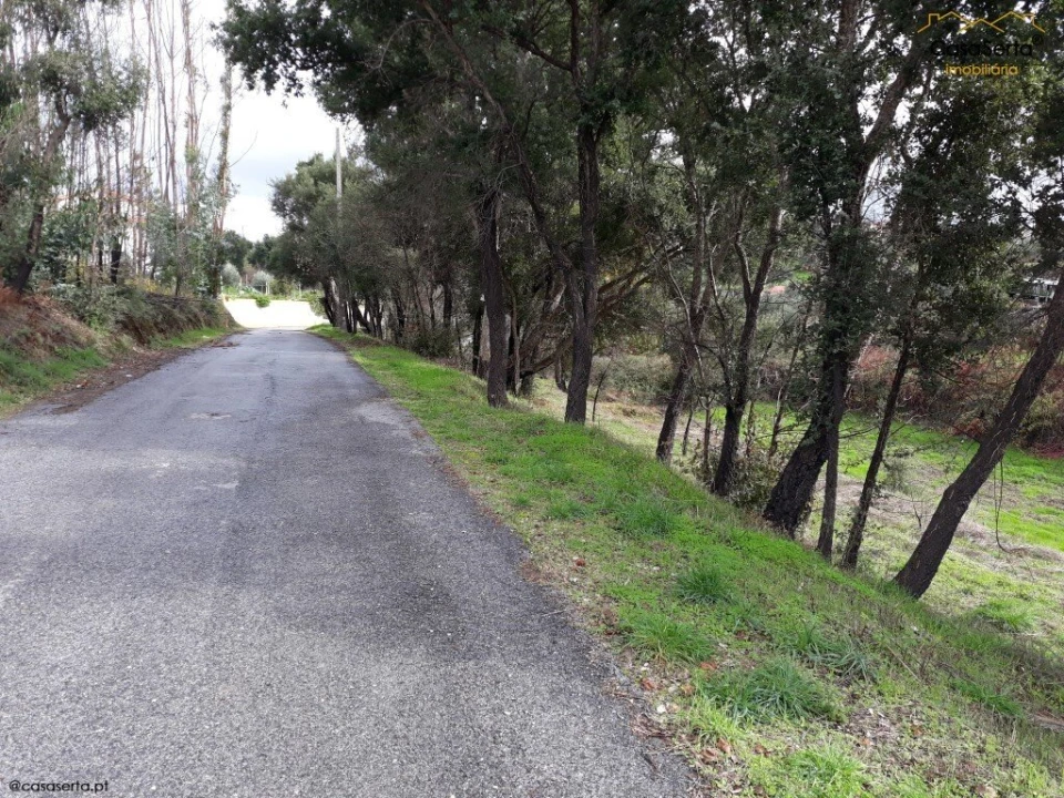 Terreno para Venda em Castelo Foto 5