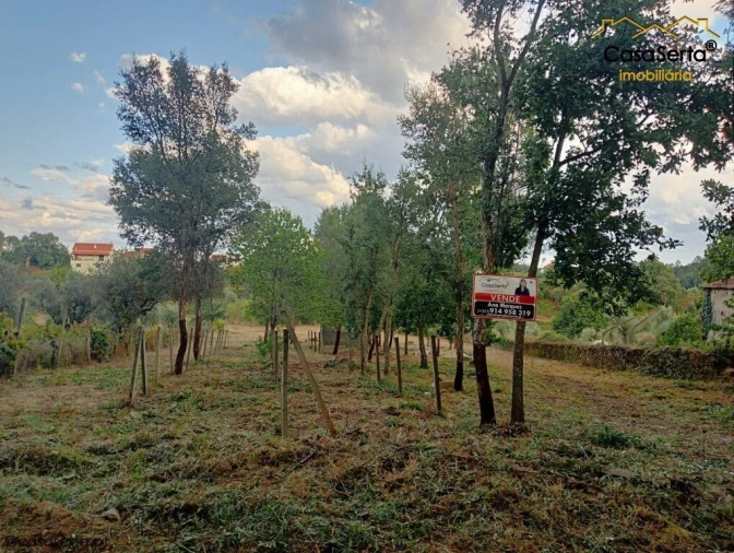 Terreno para Venda em Cabeçudo Foto 2