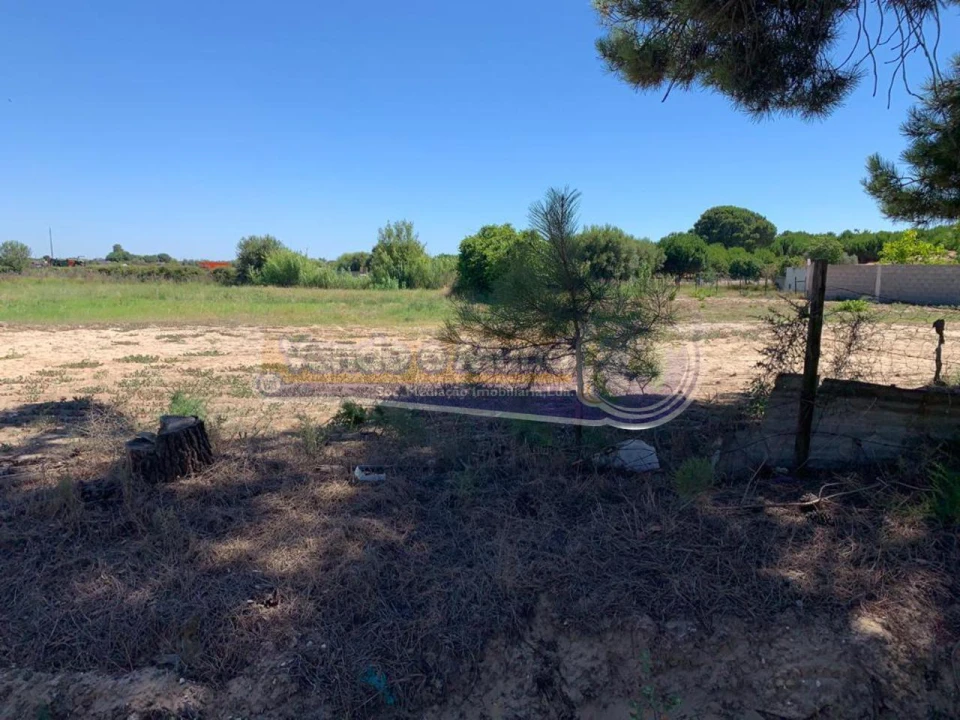 Terreno para Venda em Salvaterra de Magos e Foros de Salvaterra Foto 3