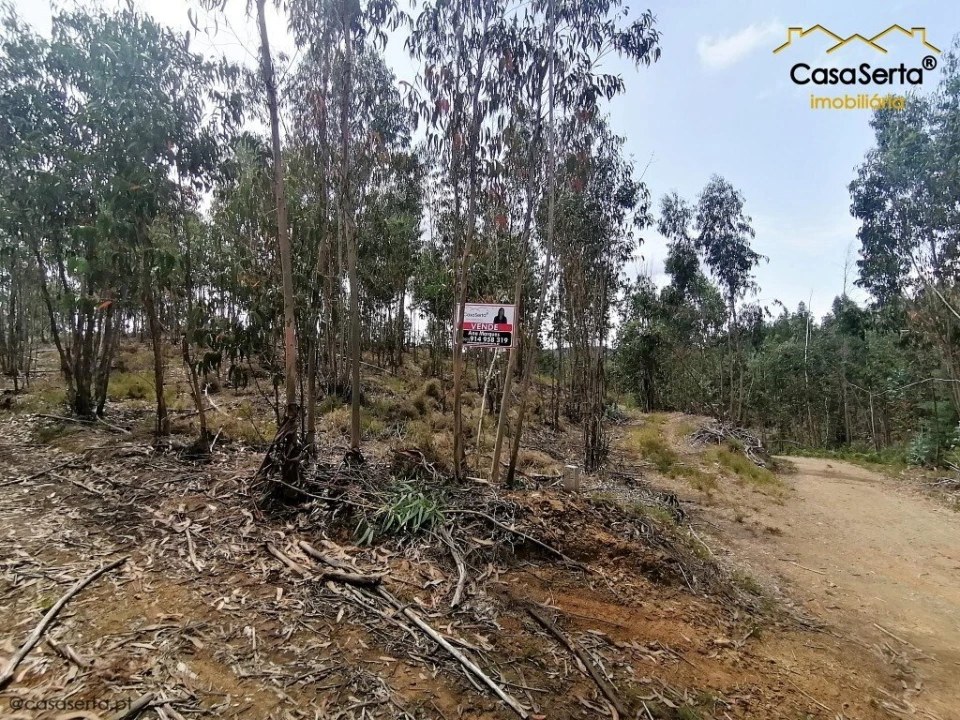 Terreno para Venda em Graça Foto 2