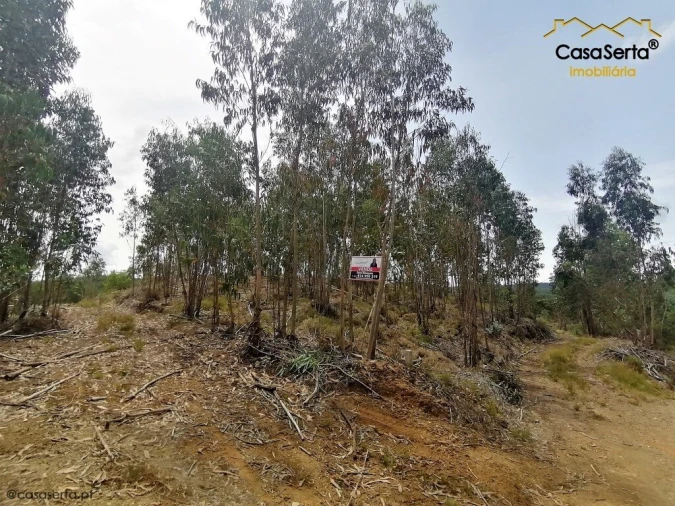 Terreno para Venda em Graça