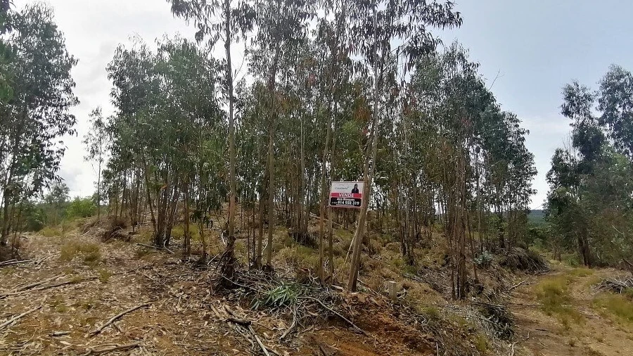 Terreno para Venda em Graça