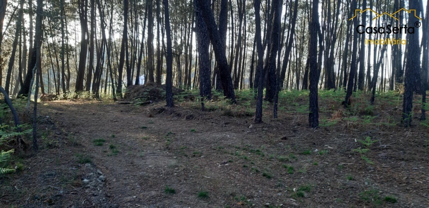Terreno para Venda em Sertã Foto 5