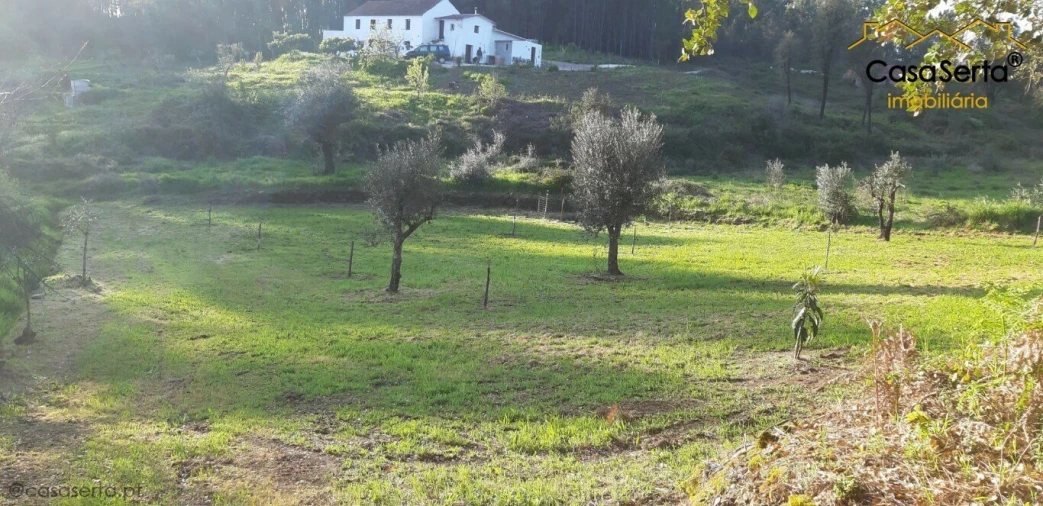 Terreno para Venda em Sertã Foto 2