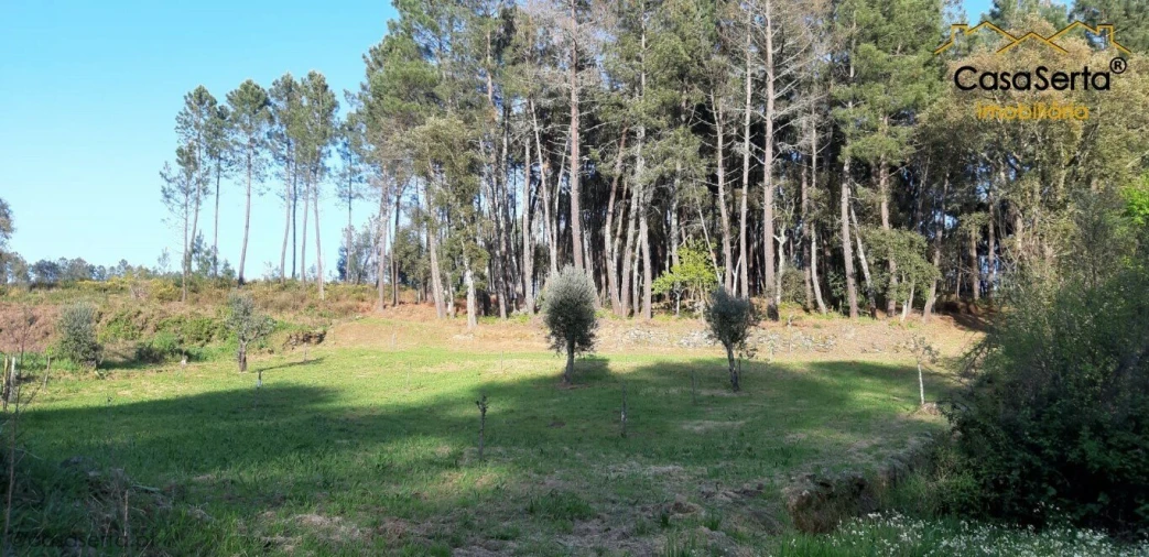 Terreno para Venda em Sertã