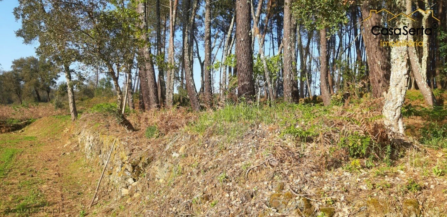 Terreno para Venda em Sertã Foto 4