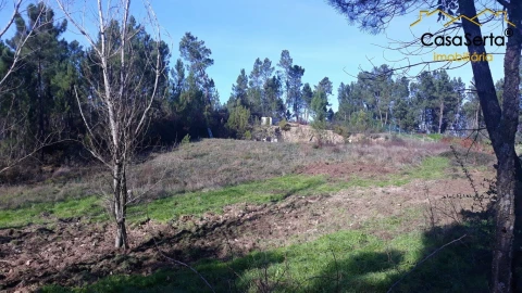 Terreno para Venda em Sertã
