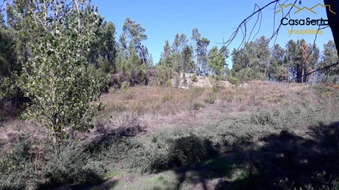 Terreno para Venda em Sertã