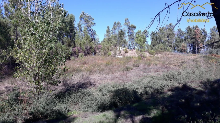 Terreno para Venda em Sertã Foto 2