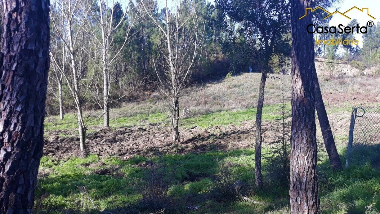 Terreno para Venda em Sertã Foto 4