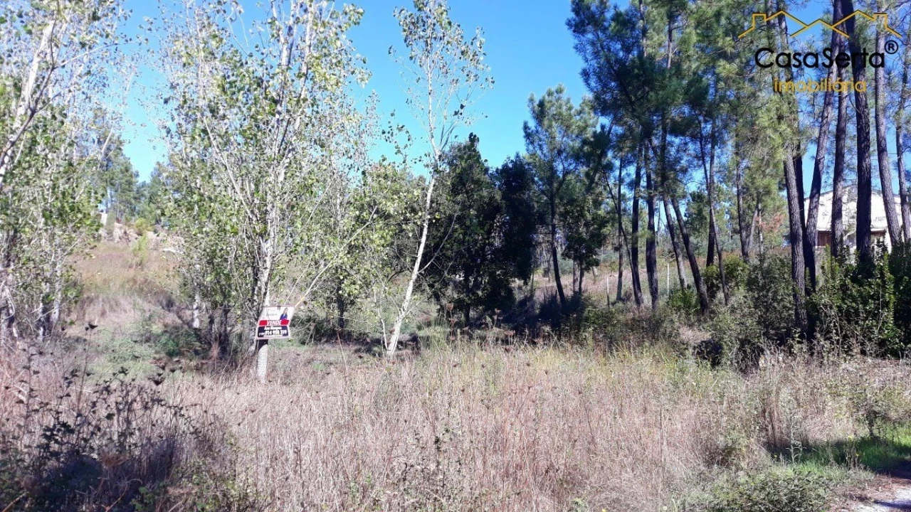 Terreno para Venda em Sertã Foto 1
