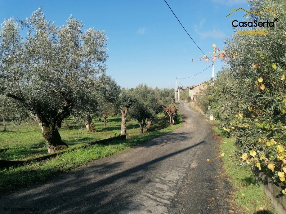 Terreno para Venda em Cumeada e Marmeleiro Foto 6