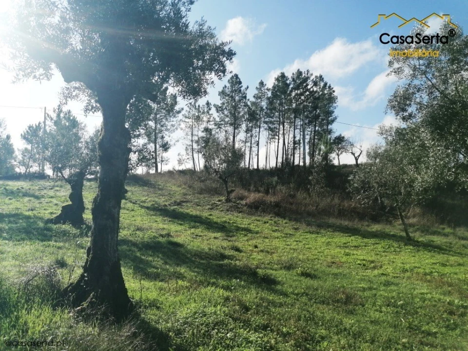 Terreno para Venda em Cumeada e Marmeleiro Foto 4