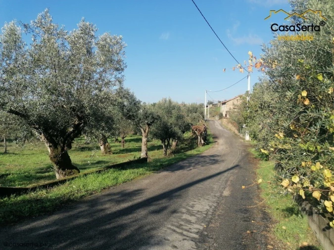 Terreno para Venda em Cumeada e Marmeleiro Foto 6