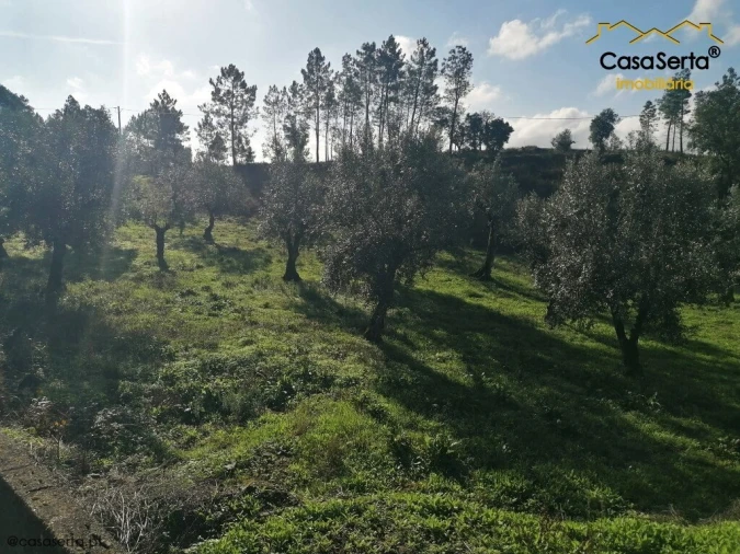 Terreno para Venda em Cumeada e Marmeleiro Foto 5