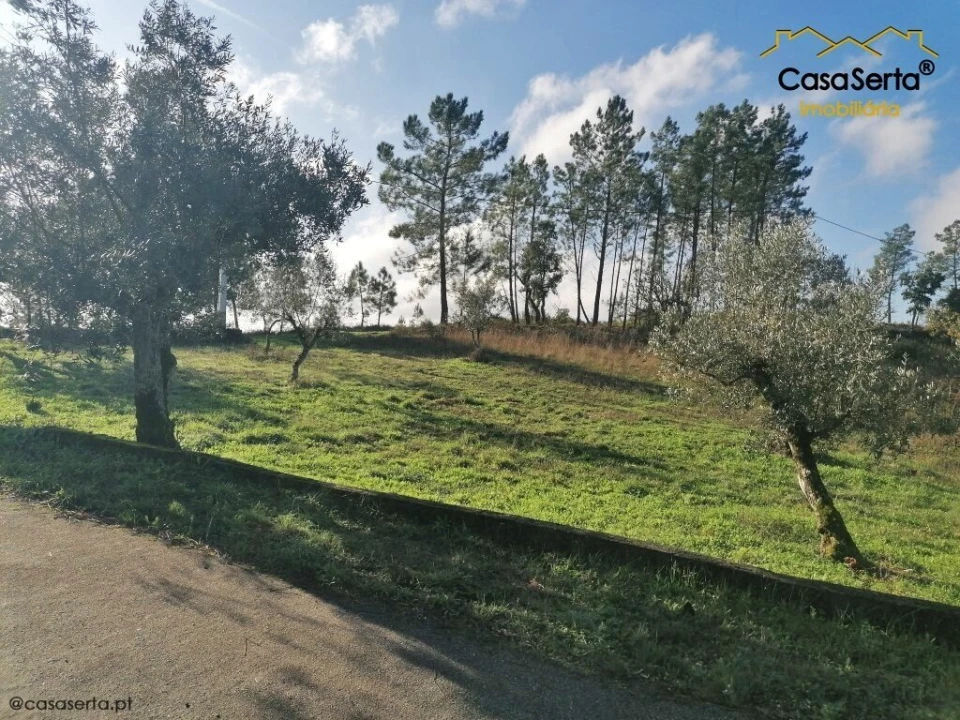 Terreno para Venda em Cumeada e Marmeleiro Foto 1
