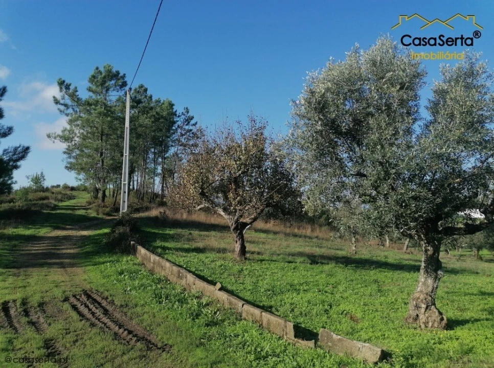Terreno para Venda em Cumeada e Marmeleiro Foto 2