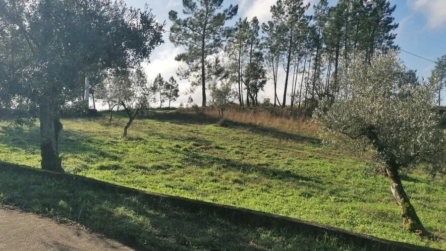 Terreno para Venda em Cumeada e Marmeleiro