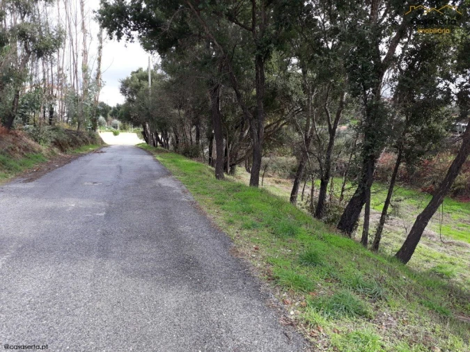 Terreno para Venda em Castelo Foto 14