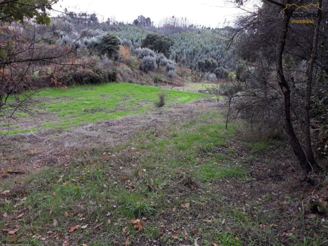 Terreno para Venda em Castelo Foto 3