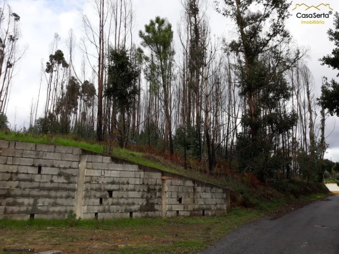 Terreno para Venda em Castelo Foto 12