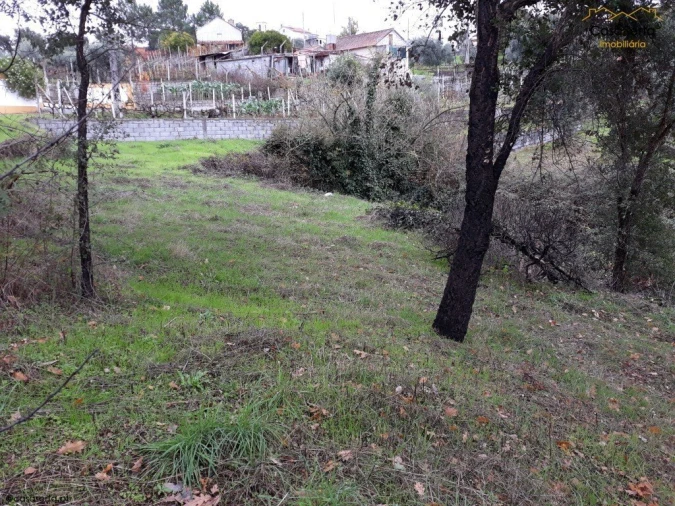 Terreno para Venda em Castelo Foto 4