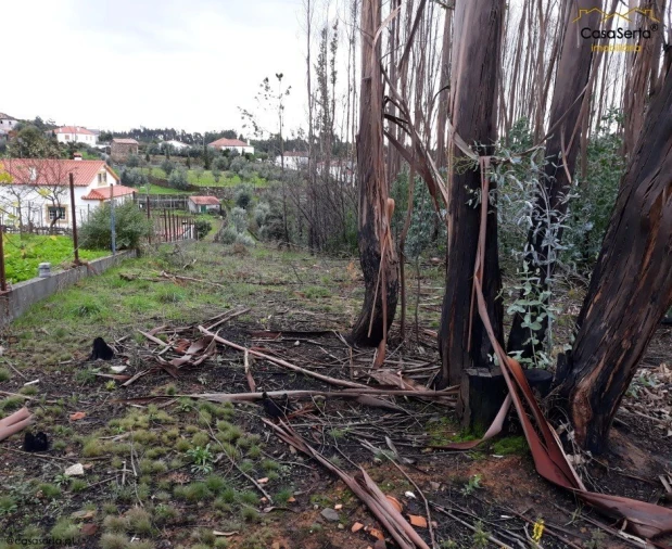 Terreno para Venda em Castelo Foto 2