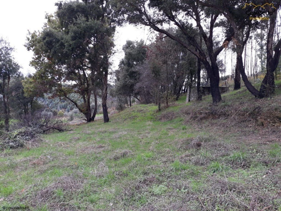 Terreno para Venda em Castelo Foto 5