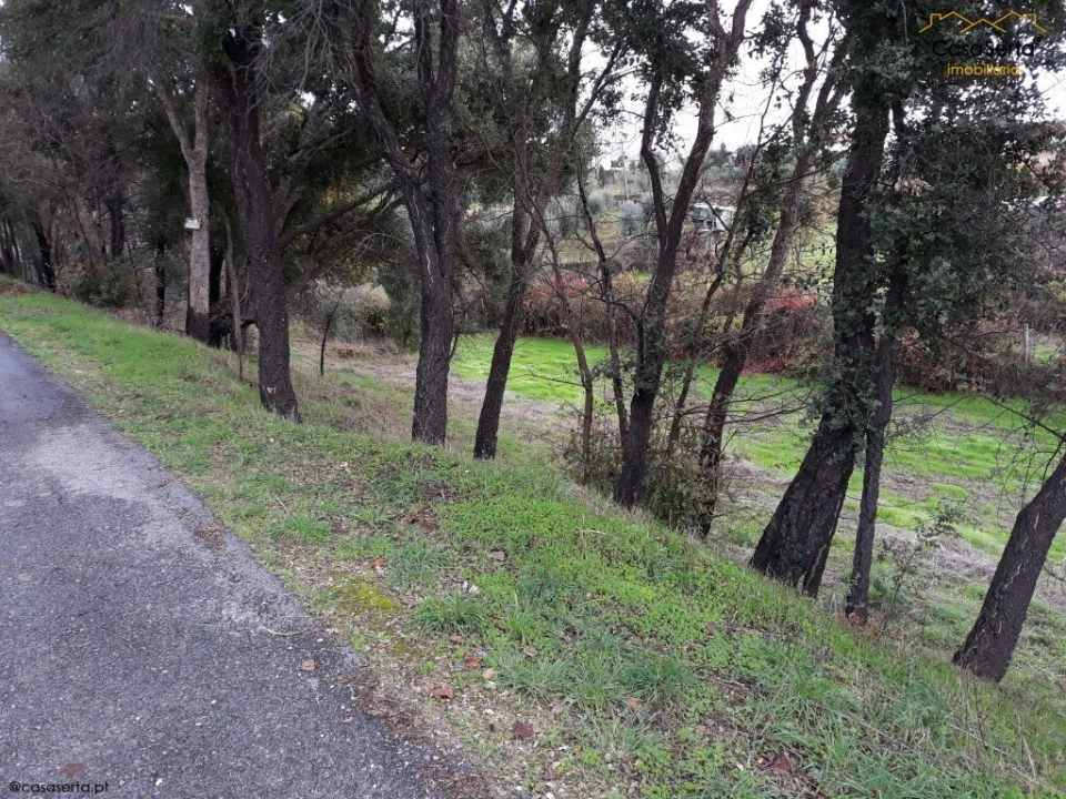 Terreno para Venda em Castelo Foto 11