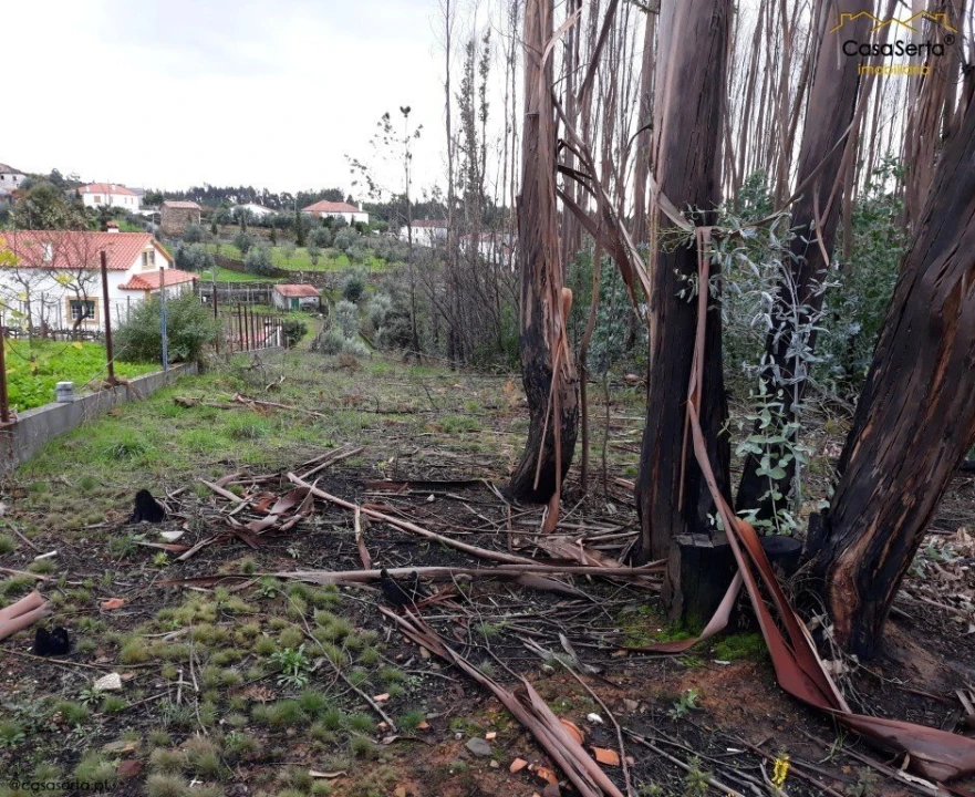 Terreno para Venda em Castelo Foto 2