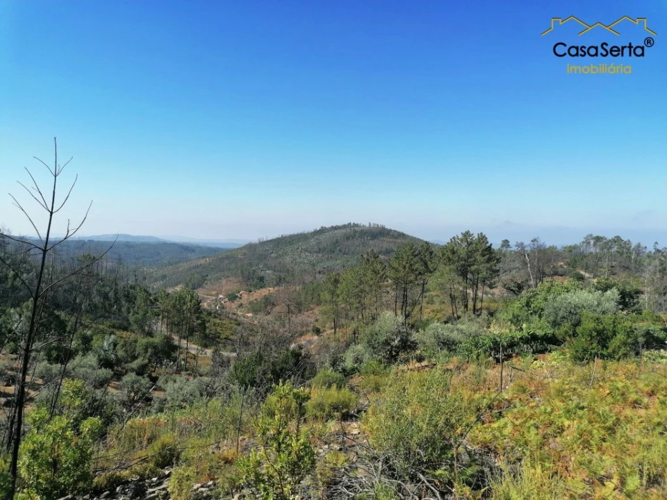 Terreno para Venda em Ermida e Figueiredo Foto 1