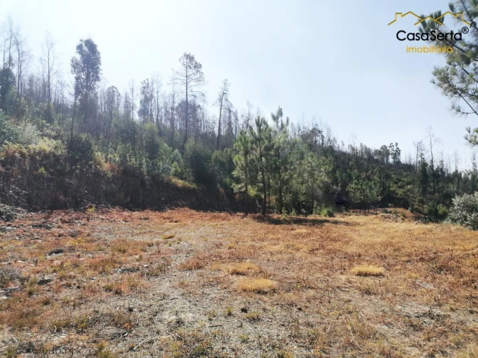 Terreno para Venda em Ermida e Figueiredo Foto 10