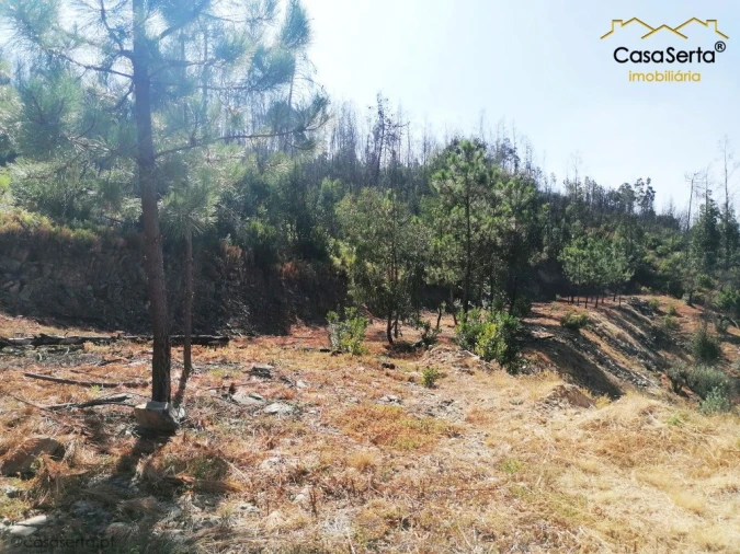 Terreno para Venda em Ermida e Figueiredo Foto 5