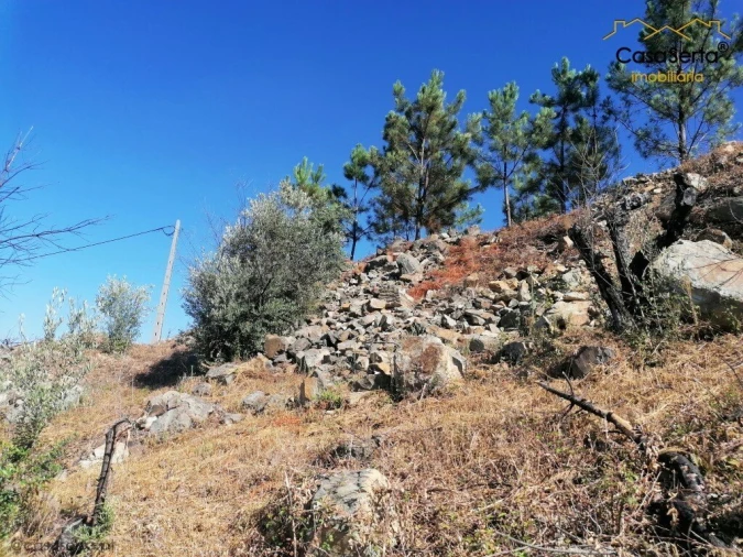Terreno para Venda em Ermida e Figueiredo Foto 3