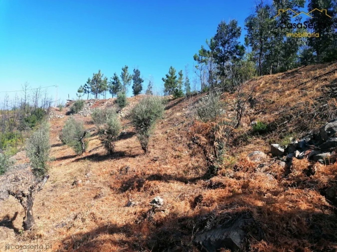 Terreno para Venda em Ermida e Figueiredo Foto 2